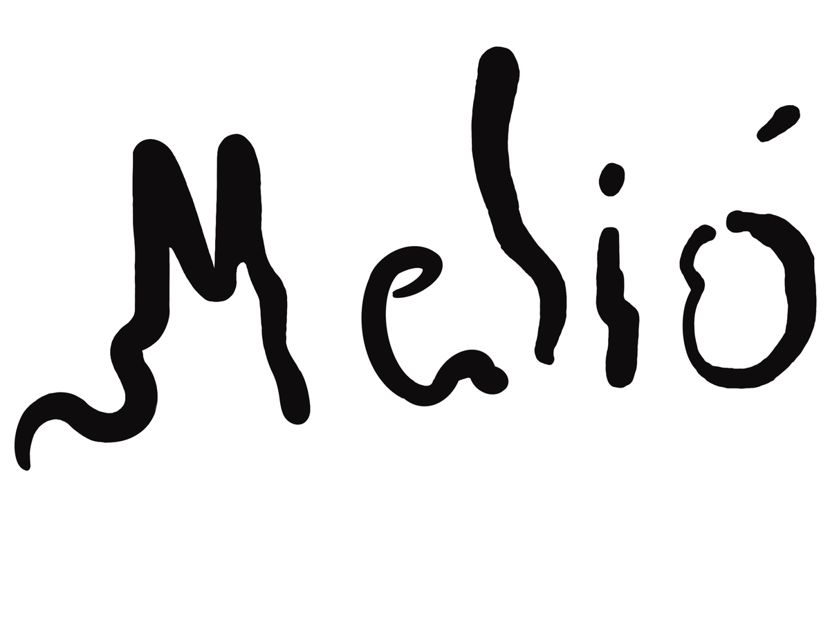 MELIO STUDIO